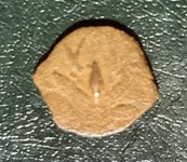 coin.webp