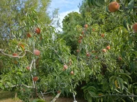 IMG_20260829_095520743_HDR.webp