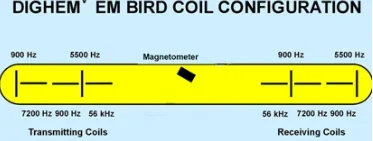 dighem_bird_height.webp dighem_bird_height.webp