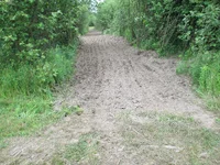 IMG_0176.webp