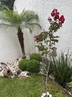 IMG_0786.webp