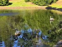 20260906_161046.webp