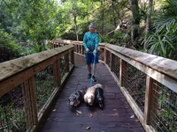 IMG_20260909_155741.webp