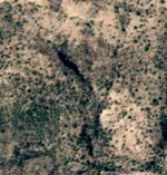 Jeroglifico.webp