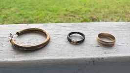 Saturday's finds