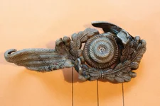 DSCF3737.webp