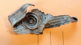 DSCF3738.webp