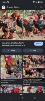 Screenshot_20260919-154349_Google.webp