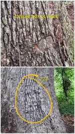 20260921_113116-COLLAGE~3.webp