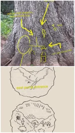 20260921_112556-COLLAGE.webp