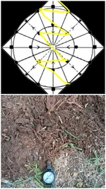 20260924_083700-COLLAGE.webp