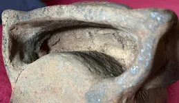 IMG_8355.webp