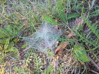 IMG_20260929_102417472.webp