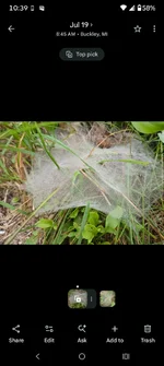 Screenshot_20260929-103934_Photos.webp