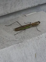 20260929_144831.webp