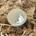My first 8 Reale found today 1844