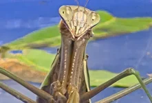 20260930_144739.webp