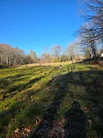 20261025_092616.webp