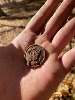 Great seal - in field.webp