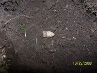 drop in the hole.webp