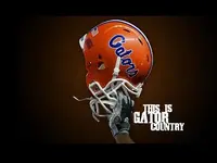 gator-wallpaper-1.webp