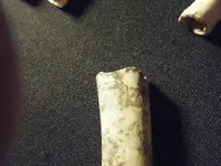 DSCF5996.webp