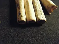 DSCF6002.webp