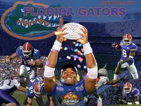 gator 4.webp