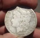 1890 cc Dollar.jpg 1..webp