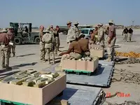 iraqi gold.webp