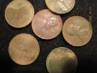 wheats.webp