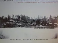 1875.webp
