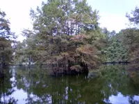 pa130246 (2).webp