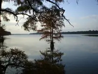 pa130248 (2).webp