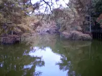 pa130249 (2).webp
