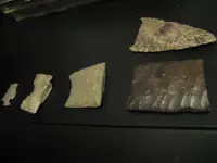 arrowheads4.webp