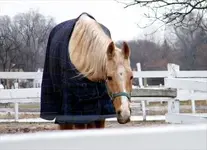 this one was friendly.webp