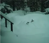 snoblo.webp
