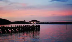 003.webp