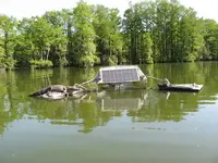 sb gator.webp