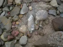 arrowheads dec08 040.webp