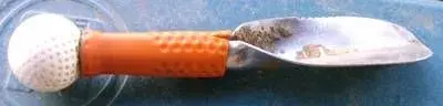 gator1.webp