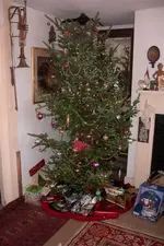 snow%20013.webp