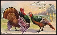 vintage_thanksgiving_turkeys.webp