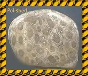 Polished.webp
