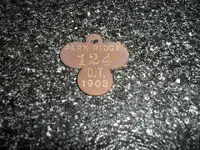 1903 Dog Tax Tag 2nd 1 003.webp