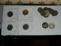 buffalosilver (2).webp