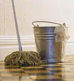 mop_bucket.webp