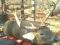 8 point jpeg.webp