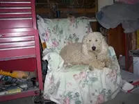 F0229DCB-C18D-B716-46D68E798903A944.webp